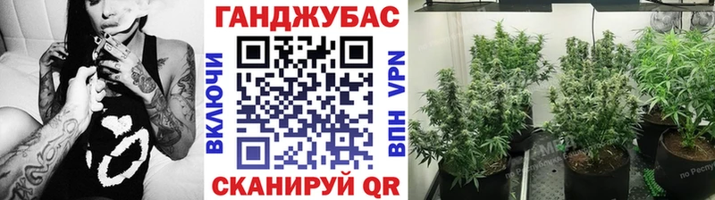 Каннабис AK-47  где купить   Володарск 